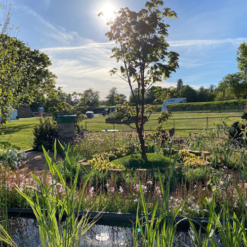 Longstock Park Garden Design 