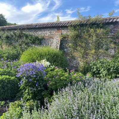 Herbaceous border in the walled garden