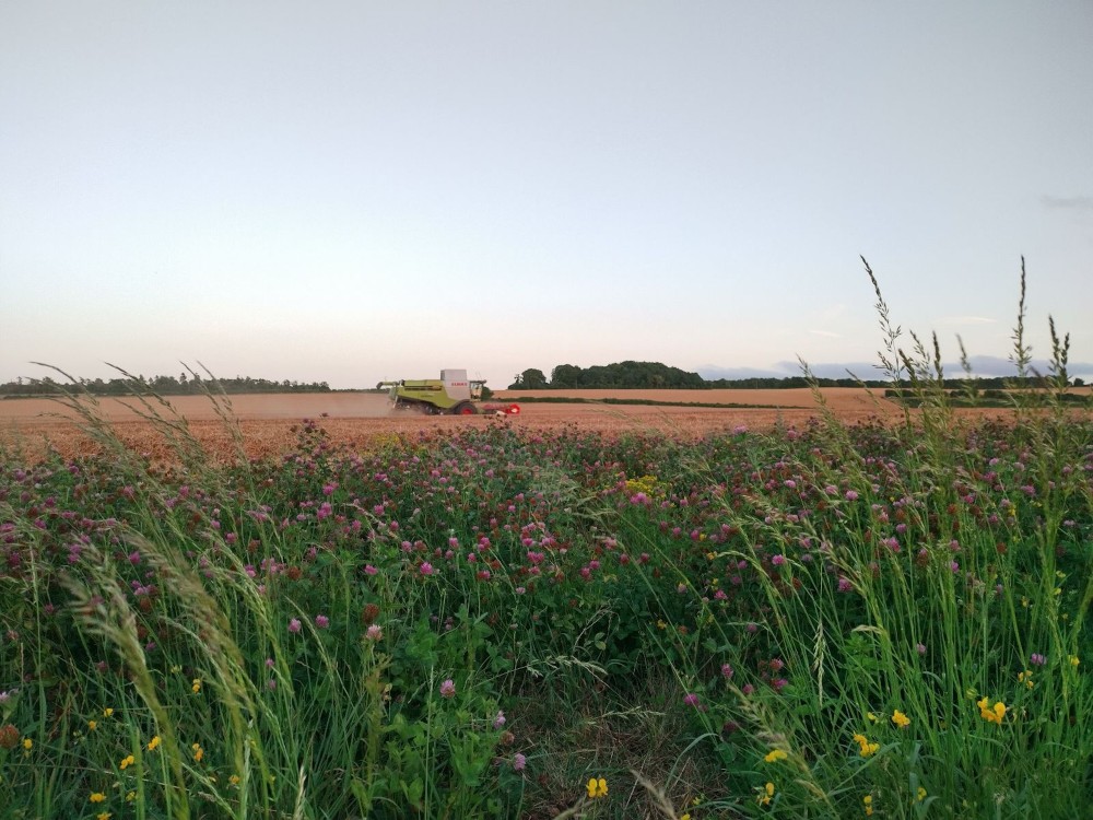 field with farm vehicle working