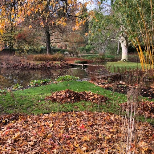 Autumn at Longstock Park Water Garden