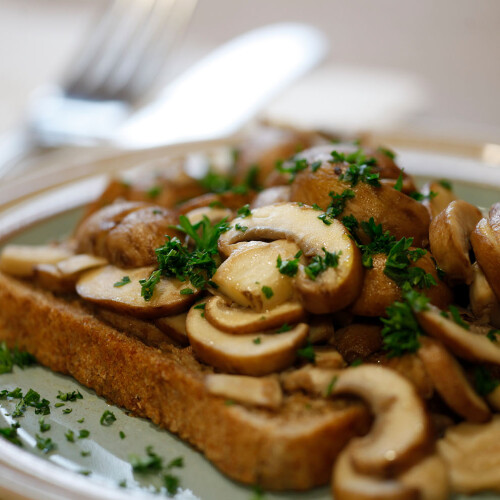 Mushrooms at longstock park cafe