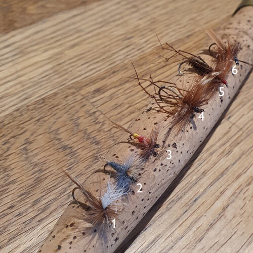 Collection of fishing flies for autumn