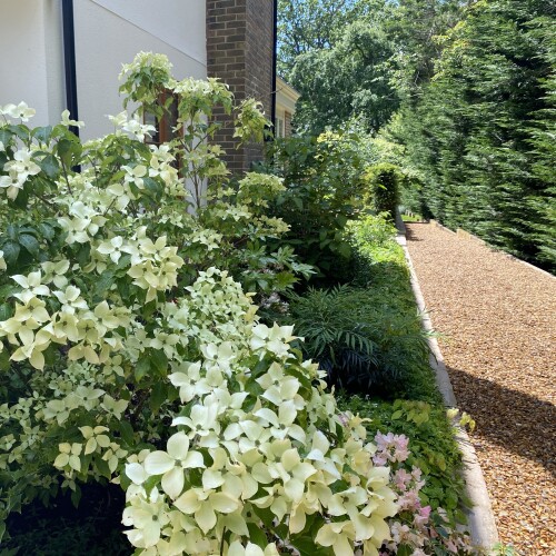design and planting services