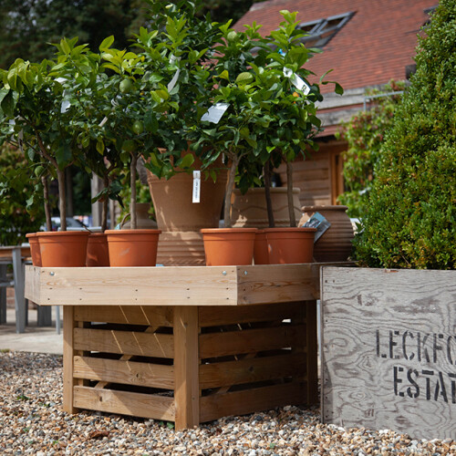 Leckford Estate Plants
