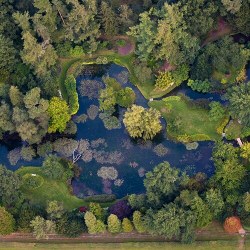 Water Garden in Hampshire