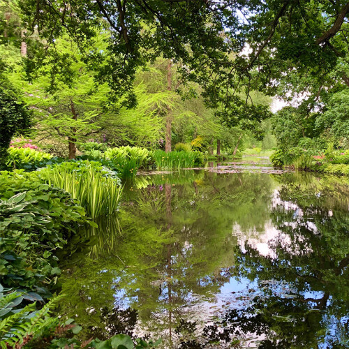 Leckford Estate Water Garden