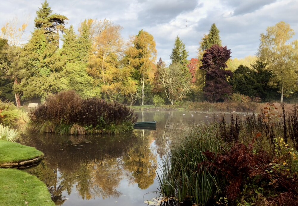 lake and trees 