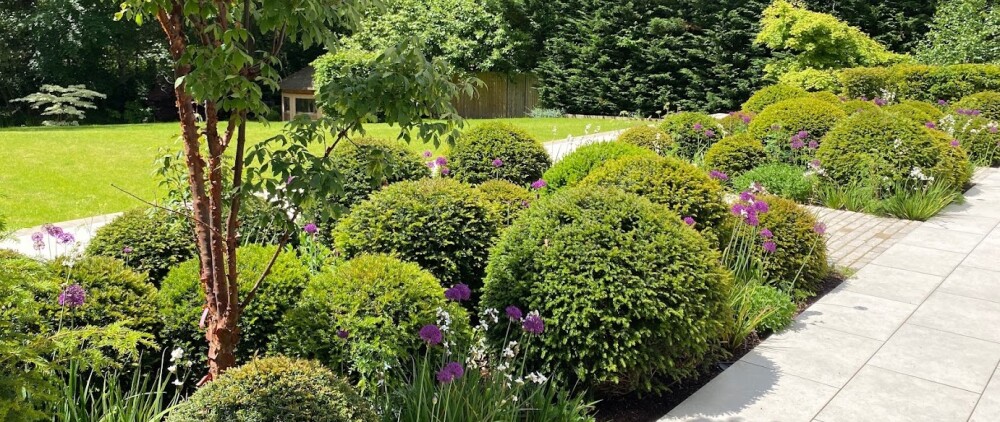 Patio and Shrub Planting