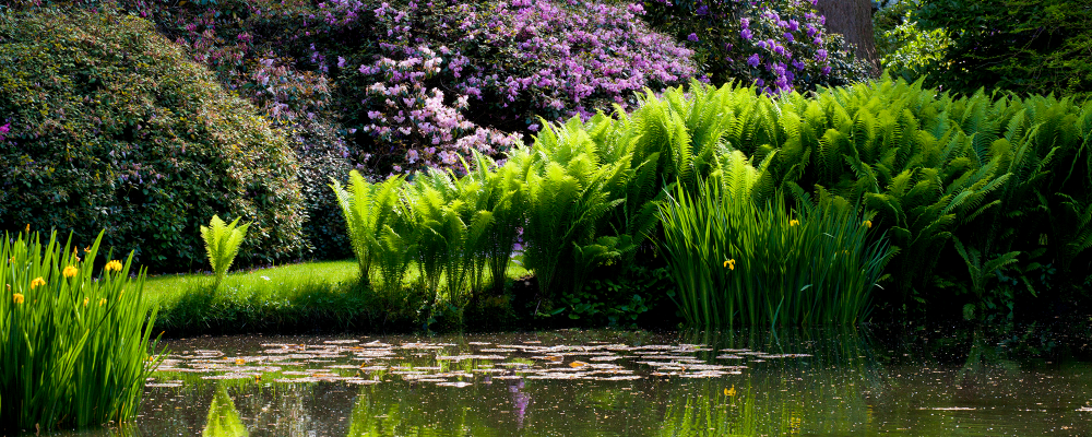 Leckford Estate Water Garden