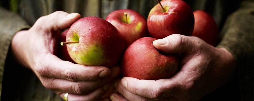 Leckford Farm Shop Apples