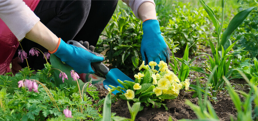 Garden Landscaping in hampshire