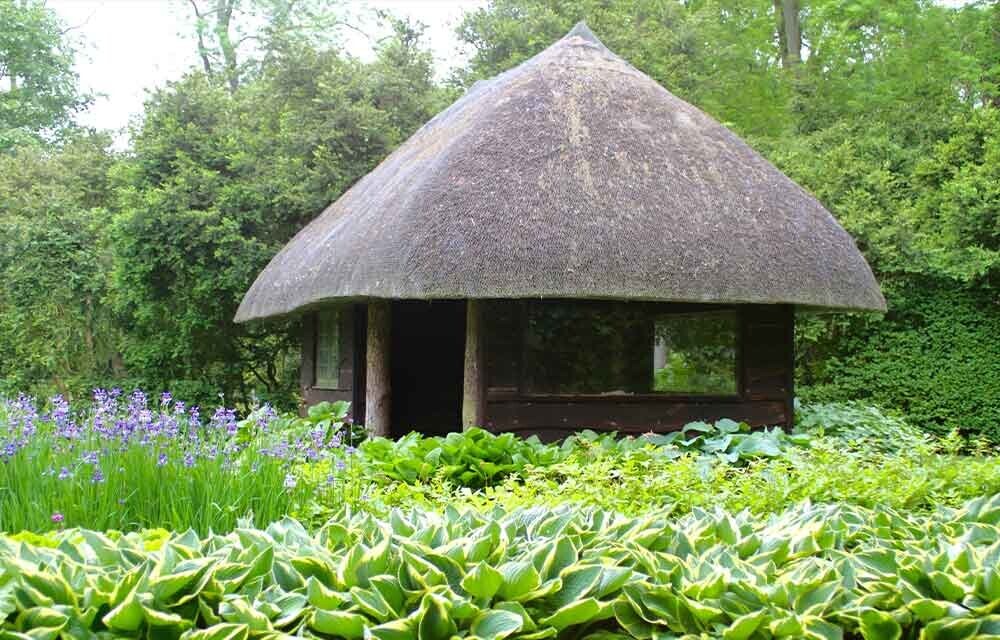 Thatched hut among water lilies 