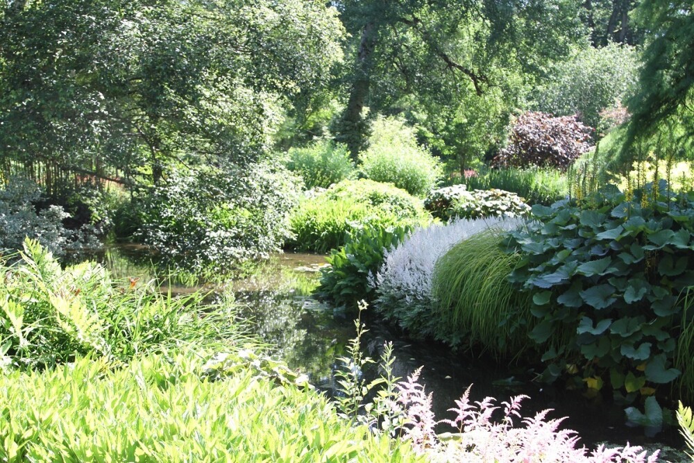 Water garden