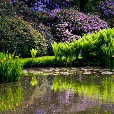 Longstock Park Water Garden