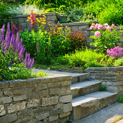 The Benefits of Using Professional Garden Design Services