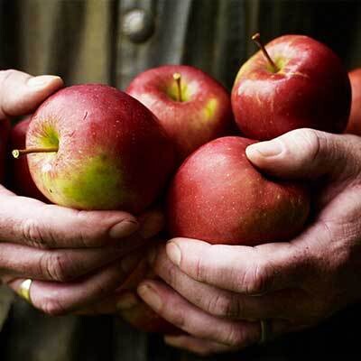 Waitrose & Partners Farm Apples