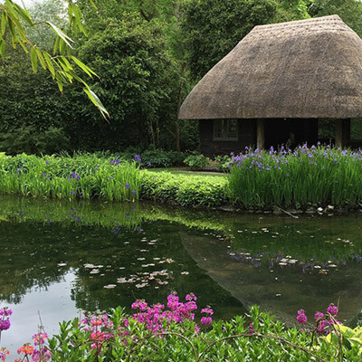 Welcome to the Finest Water Garden in Hampshire