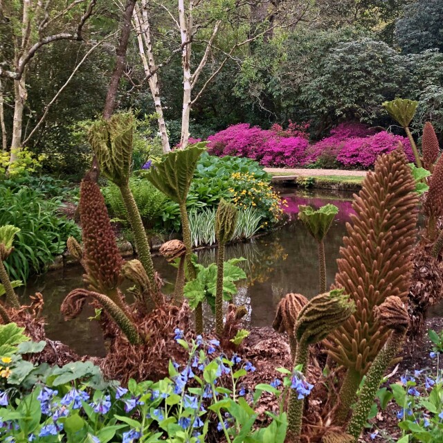 Longstock Park Water Garden Summerhouse