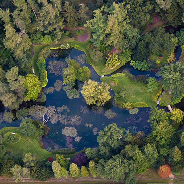 Water Garden Aerial View