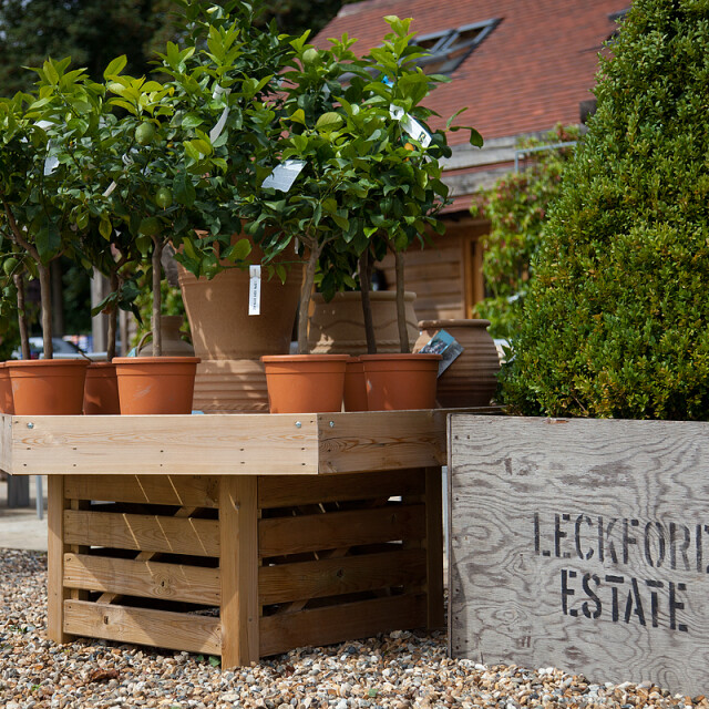 Make a Day of Your Visit Leckford