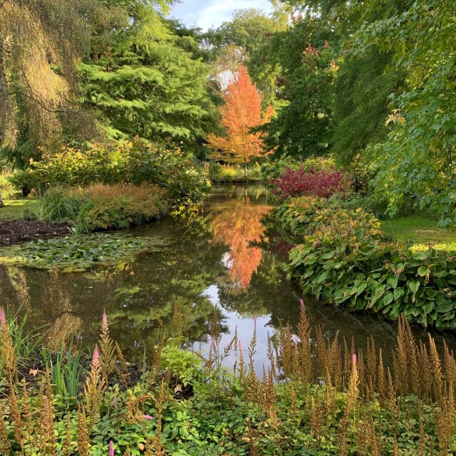 Longstock Park Water Garden, Leckford Estate